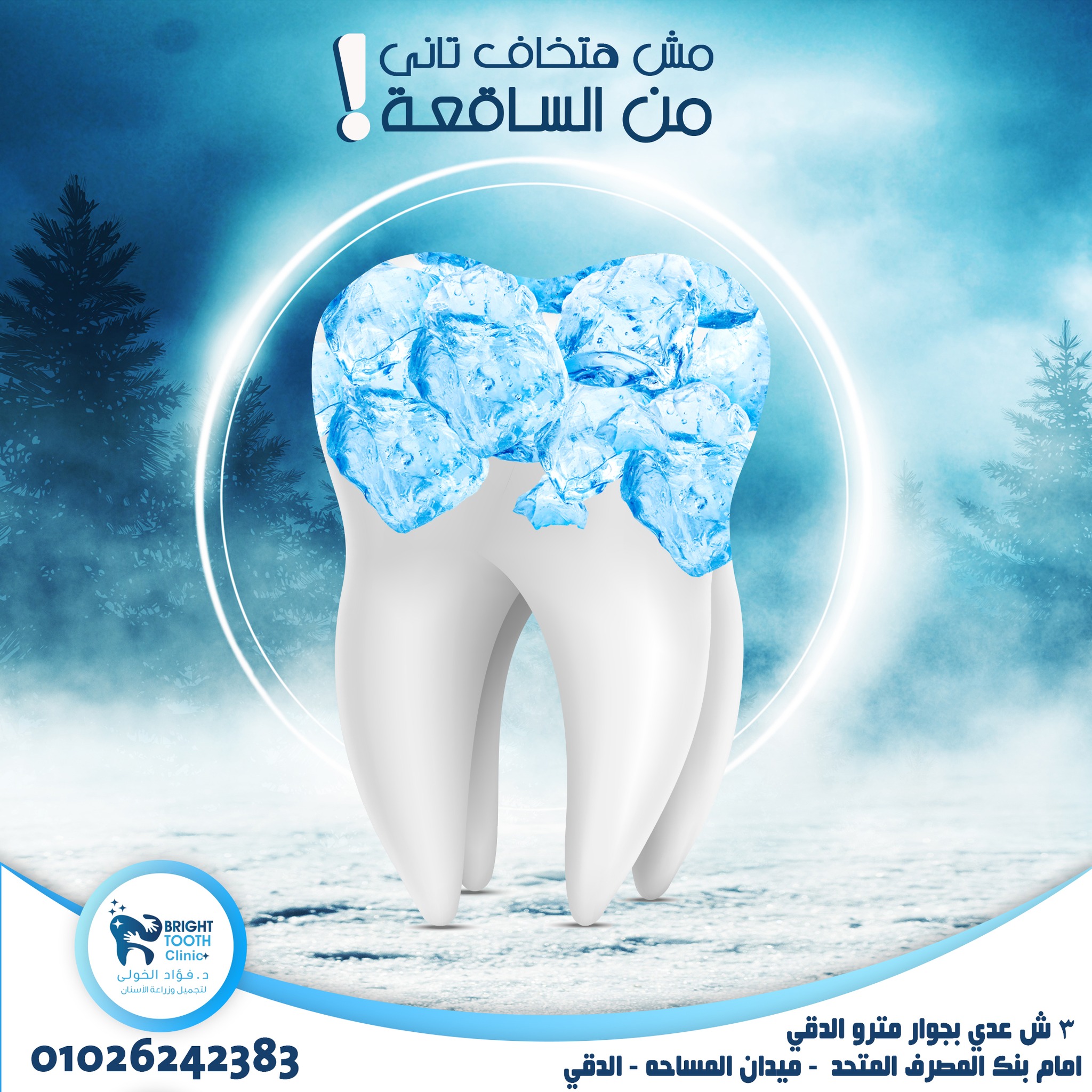 482227116_1162645702536282_7151945624447621653_n (4)